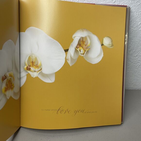 Miracle:A Celebration of New Life Geddes, Anne|Celine Dion Hardcover HVDJ Cd‎ - Picture 4 of 6